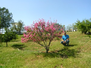 Pete w tree in bloom