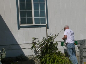 Pictures-2010 150
