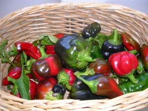 peppers in basket