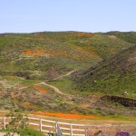 Hills for leisurely walks
