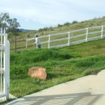 Iron gate and rail fence