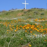 Rancho cross