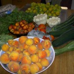 One Days Harvest 2011